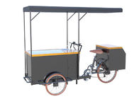 Carro de la bicicleta del helado de tres ruedas con la bomba de agua segura de la categoría alimenticia