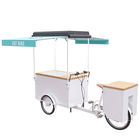 Triciclo grande retro del helado del almacenamiento, vespa eléctrica del helado de EQT