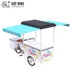 Cargo del triciclo de la bici del helado de EQT para la bicicleta eléctrica de la bici del congelador de la venta del negocio de la calle para las bebidas frías