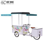 Bici en venta Front Loading Pedal Assist Freezer de alta calidad del cargo del triciclo del helado del refrigerador de EQT 138L