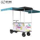EQT 138 litros del helado de las bicis en venta del congelador del carro de las vacaciones de verano del cargo de bici suave del congelador que vende el helado eléctrico