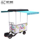 Triciclo eléctrico del congelador de la vespa de la bici del cargo de EQT del carro comercial del helado para vender la bebida fría