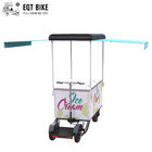 Triciclo eléctrico del congelador de la vespa de la bici del cargo de EQT del carro comercial del helado para vender la bebida fría