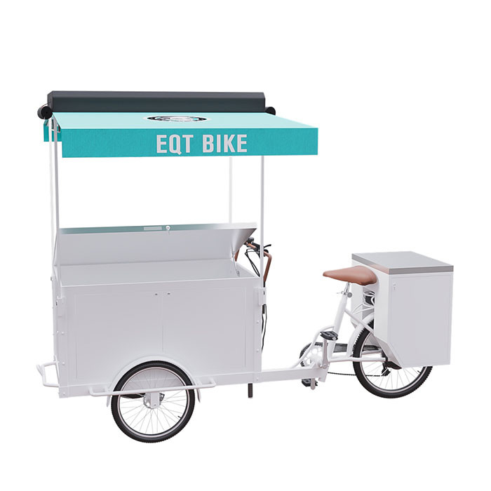 Operación conveniente modificada para requisitos particulares bici eléctrica de la marca del cargo del triciclo para una persona