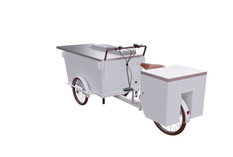 Carro integrado de la venta de la barbacoa de la estructura de caja del triciclo