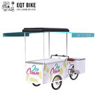La bici de EQT 138L o de 110L Front Load Tricycle Ice Cream para las ventas DC accionó la comida Trike de los carros del triciclo del congelador